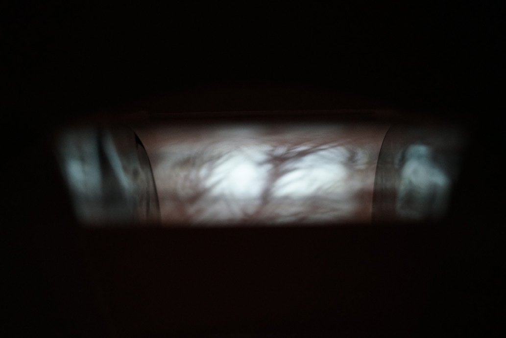 Rhythm of Perceptions — Magic Box